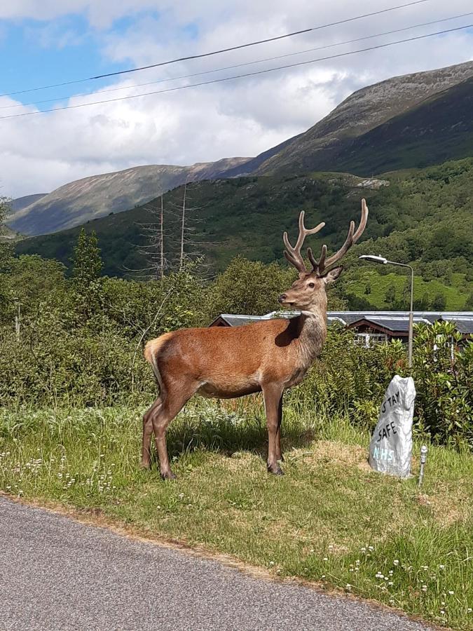 Etive Pod, West Highland Way Holidays Kinlochleven Exteriör bild